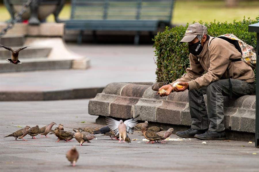 Men wearing a mask (to protect from COVID-19) sitting on a park bench in Quito Ecuador feeding birds