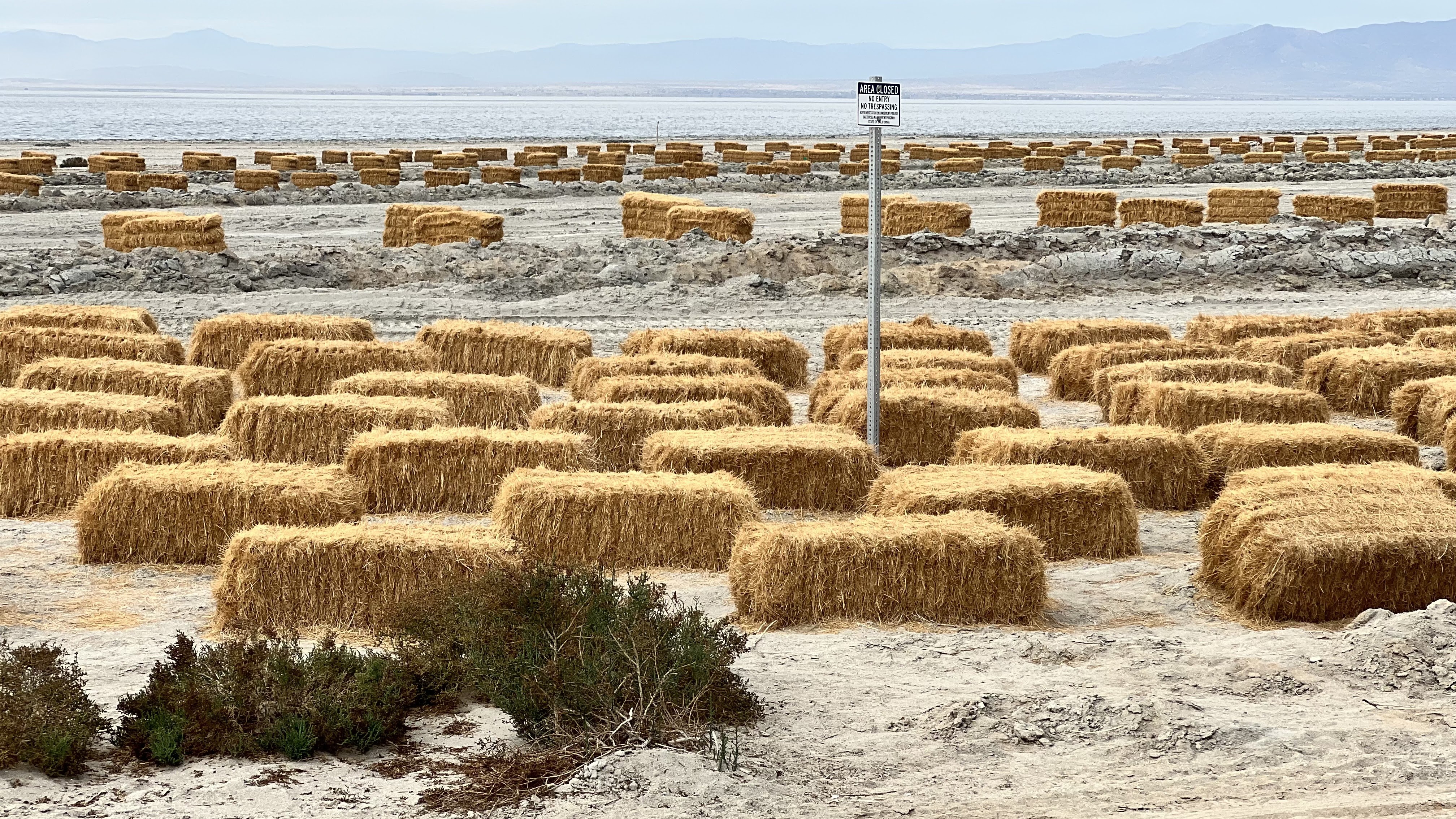 Hay bales on the shore of the Salton Sea in Bombay Beach