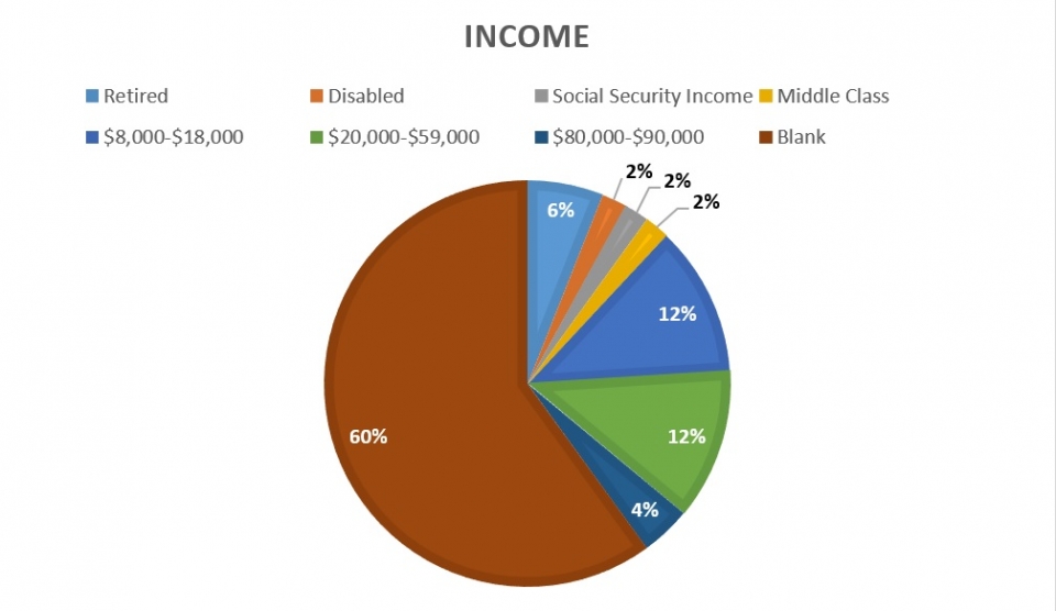 Income